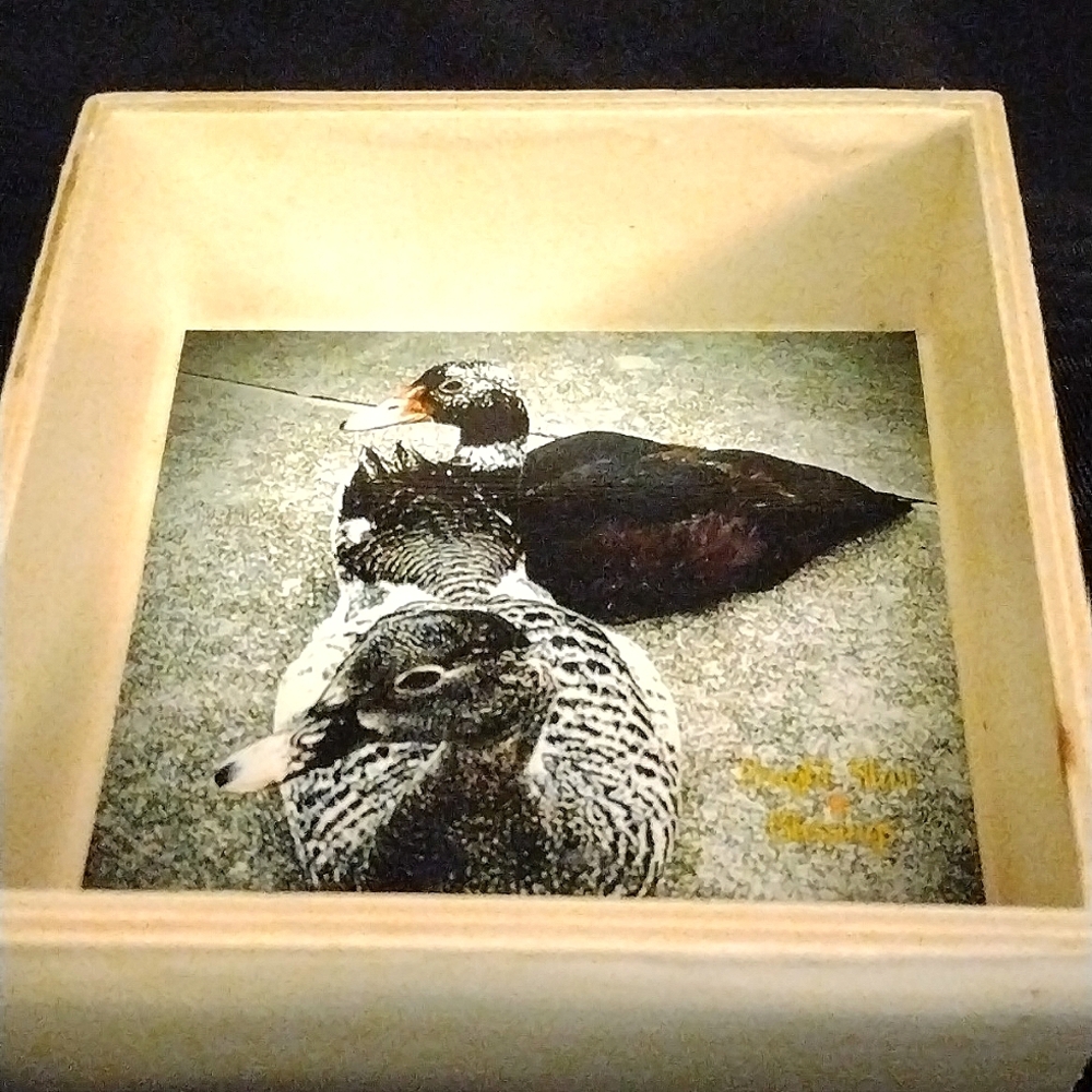 4" x 4" Duck Tales Trinket Box